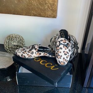 Cocci leopard mule